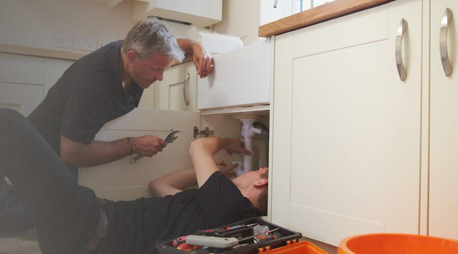 Professional Water Damage Mitigation services in Section, AL